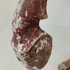 Tang Dynasty Paard thumbnail 21