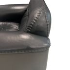 De Sede Armchair Ds101 thumbnail 5