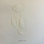 Jessica Toliver, Gewohnlicher Wundklee, Signed Paper-cutting Is One Of Only 50 Limited-edition thumbnail 5