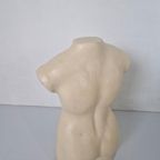 Grote Vrouwelijke Torso In Keramiek. thumbnail 7