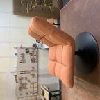 DUTCHBONE Fauteuil In Perzikoranje – Opnieuw Bekleed thumbnail 8