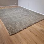 Cs Rugs Vloerkleed - Karpet - Sauvage 45 - Nieuw - 300X255 thumbnail 5