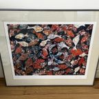 F. De Keijzer Litho Vissen thumbnail 3