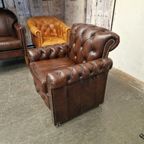 Scott Classic Chesterfield Eetkamerstoel – Antiek Bruin, Leer thumbnail 3