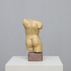 Sculptural Female Torso Signed Ac thumbnail 4