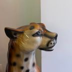 Sisi 🐆 Cheetah Beeld thumbnail 4
