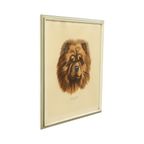 Vintage Ingelijste Kleuren Litho Hond Chow Chow Gesigneerd thumbnail 6