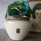 Prosman Philipsland Holland Bloempot thumbnail 2