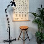 Original Anglepoise Herbert Terry 1209 – Vloerlamp – 1940’s thumbnail 2