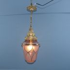 Roze Hallamp Of Kamer Hanglamp thumbnail 6