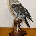 The Falconer Giuseppe Armani Limited Edition thumbnail 8