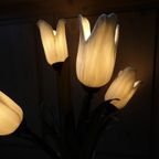 Banci Firenze Grote Tulpen Tafellamp "Tulipani". thumbnail 2