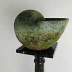 Prachtige Terracotta Slakkenhuis Met Verbazingwekkende Patina thumbnail 10