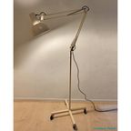 Anglepoise Lighting Floorlamp thumbnail 2