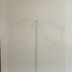 Ellsworth Kelly (1923-2015), Chêne, 1964 thumbnail 7