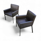 2 X Manet Minotti Arm Chairs 2004 / Dark Brown Leather / Chrome Height 83 thumbnail 7