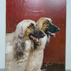 70 X 94 Cm Afghan Dogs 1970S thumbnail 4