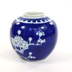 Chinees Gemberpotje Blauw/Wit Kersenbloesem Prunus thumbnail 5