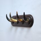 Vintage Horn Coat Rack, 1930S thumbnail 4