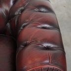 Grote Donkerrode Gevlamde Rundleren Chesterfield Clubfauteuil/ Armchair thumbnail 12