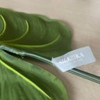 Zijden Bladeren Silk-ka Alocasia thumbnail 4