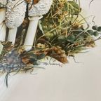 Set Van 3 Vintage Mushroom / Paddenstoelen Prenten - Tage Andersen - Denemarken thumbnail 5
