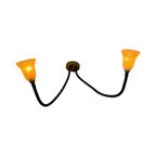Rob Nollet - Deja Vu Nijmegen - Wall Mounted Lamp - Gooseneck (double) - Glass Shades, Dutch Design thumbnail 1