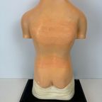 Antiek Anatomisch Model (small) – Plaaster En Papier Maché thumbnail 5