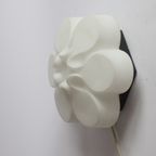 Abstract Glass Flower Ceiling Or Wall Lamp By Bega, Germany 1960S thumbnail 4