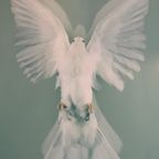 Damien Hirst, The Impossible Truth (Detail) thumbnail 2