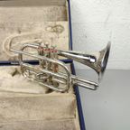 Cornet 'Bermont' thumbnail 5