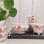 Botervloot Schlaggenwald, Vintage Servies, Mooie Decoratie thumbnail 14
