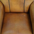 Mooie Schapenleren Design Armchair Met Een Luxe Afwerking Met Donkerbruine Biezen thumbnail 5