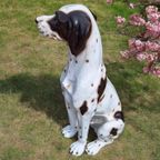 Handmade Midcentury Porseleinen Beeld, Italy Pointer Hond😍 thumbnail 5