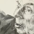 Grote Houtskool Tekening Pleitende Advocaat Kunst Driesschaert 1974 thumbnail 13