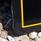 Emaille Bord Van Mustang Rijwielen Van Gebr. De Geeter Assen thumbnail 3