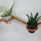 Plantenslang Rotan/bamboe. Plantenhouder Rohé/trio Noordwolde thumbnail 7