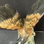 Aardewerk Roofvogel, 40 Cm Hoog thumbnail 6