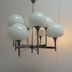 Italian Modern 8 Arm Trumpet Chandelier By Gaetano Sciolari For Boulanger, 1960S thumbnail 3