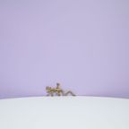 Gouden Bronzen Beeldje Salamander thumbnail 2