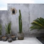 Bazar Bizar |de Funky Vaas - Antiek Grijs - M thumbnail 3