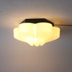 Abstract Glass Flower Ceiling Or Wall Lamp By Bega, Germany 1960S thumbnail 12