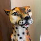 Sisi 🐆 Cheetah Beeld thumbnail 3