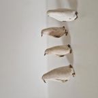 Een Set Van 4 Houten Vogels Messing Vogels Pinquin Vogels thumbnail 9