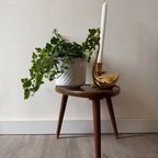 Driehoek Plantentafeltje thumbnail 2