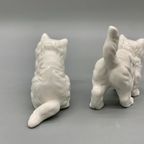 Vintage Bone China Katjes Wit Set Van 2 thumbnail 7