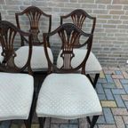 Antique George Hepplewhite Chairs Van 6 Stoelen Set thumbnail 9
