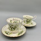 Royal Albert Flower Of The Month January Kop En Schotel thumbnail 2