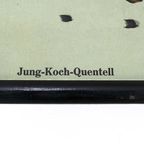 Jung Koch Quentell ‘Feldhase’ 59906 thumbnail 5