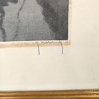 Roger Hebbelinck - Ets thumbnail 4